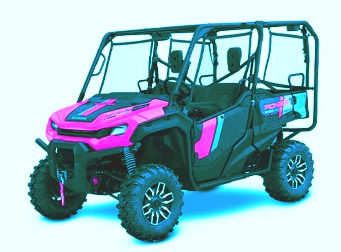 Honda Pioneer Models 1000