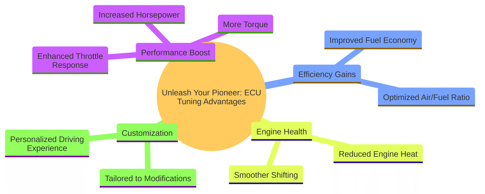 honda pioneer 1000 ecu tune